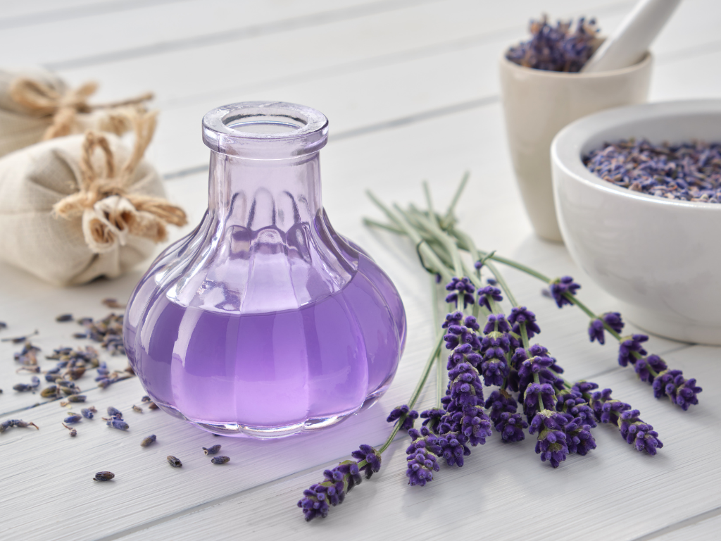Blagodati lavande: Zašto je lavanda neophodna u svakom domu