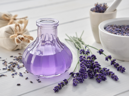 Blagodati lavande: Zašto je lavanda neophodna u svakom domu