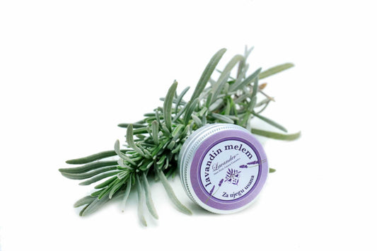 Lavender balm - lip balm with cocoa and shea butter